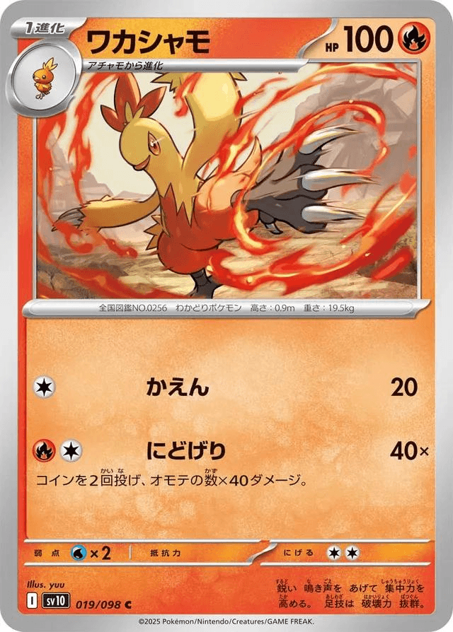 [C] Combusken #19 Pokemon Japanese Glory of Team Rocket 