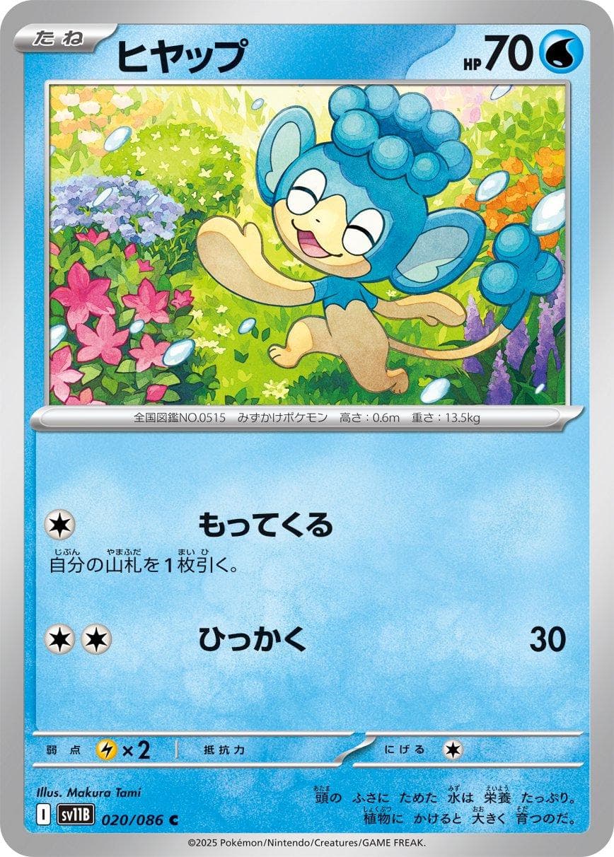 [C] Panpour #20 Pokemon Japanese Black Bolt
