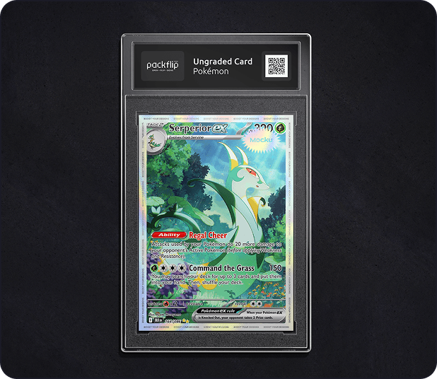 Pokemon Master